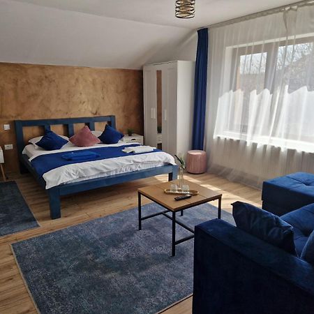 Tîrgu Ocna Dania&Petru Residence מראה חיצוני תמונה