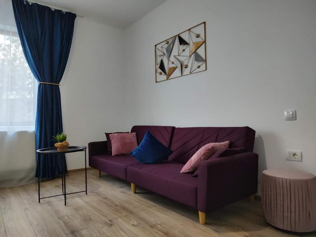 Tîrgu Ocna Dania&Petru Residence מראה חיצוני תמונה