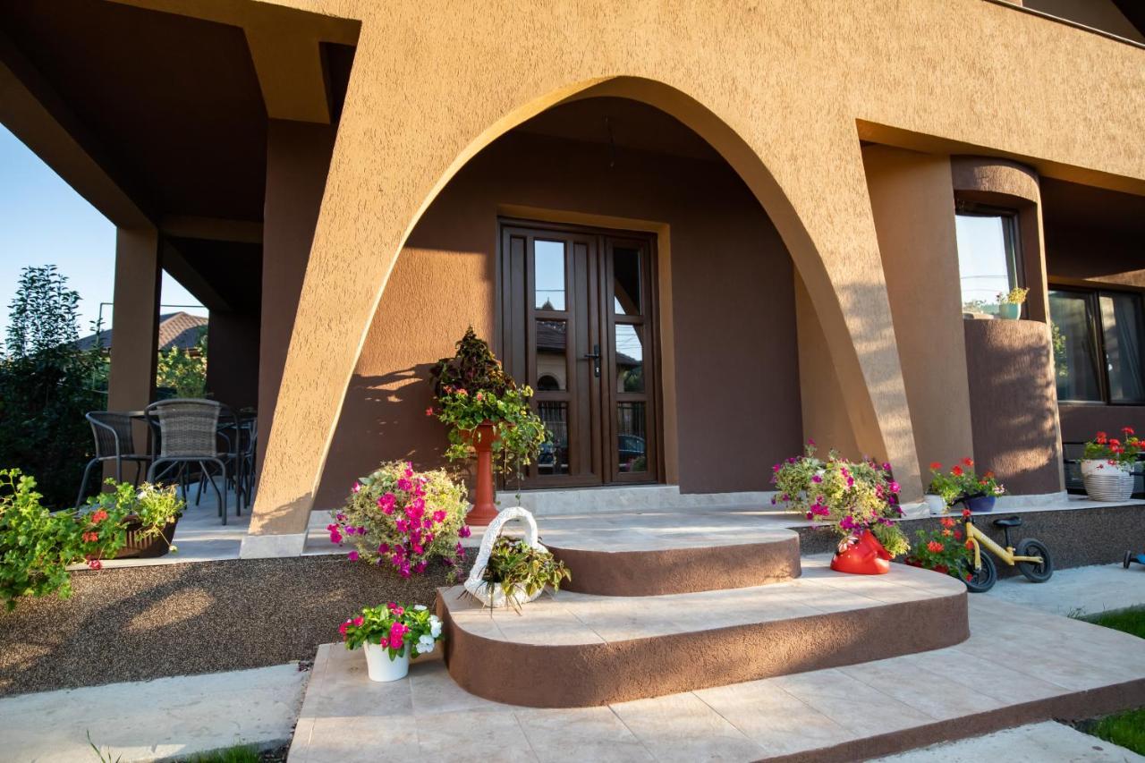 Tîrgu Ocna Dania&Petru Residence מראה חיצוני תמונה