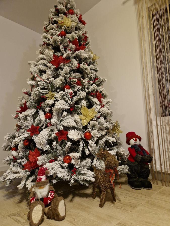 Tîrgu Ocna Dania&Petru Residence מראה חיצוני תמונה